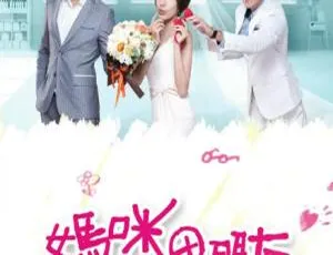 2014 中国台湾剧《妈咪的男朋友》77.61GB 百度云资源