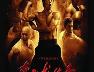 2008香港经典《李小龙传奇》50集 陈国坤王洛勇主演 国粤中字 44.61GB 百度网盘资源