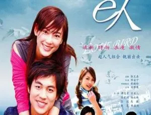 2004香港经典剧《候鸟e人》：谭俊彦 应采儿主演 20集11.25GB 百度网盘资源