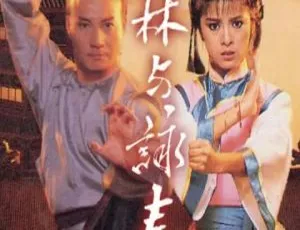 1987 香港经典剧《少林与咏春》：米雪石修主演 20 集全 百度网盘 15.34GB 国粤中字-小文资源网