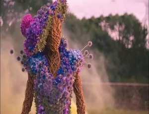1080P英语中字！《鲜花大战The Big Flower Fight》第一季8集百度网盘资源-小文资源网
