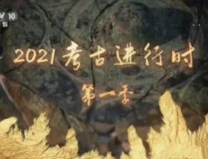 《2021考古进行时》第1季全8集1080i汉语中字 百度网盘资源