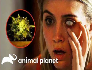 1080P中字！《体内的怪物Monsters Inside Me》5 - 8季百度网盘资源-小文资源网