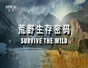 蓝光中字6集全！百度网盘《荒野生存密码Survive the Wild》纪录片-小文资源网
