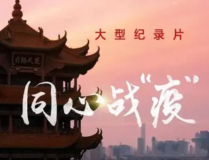 《必看！同心战“疫”全6集高清纪录片 百度网盘20.71G 蓝光TS资源》-小文资源网