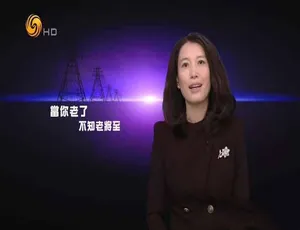 720P/1080i高清！《凤凰大视野2020》49.18G合集百度网盘资源-小文资源网
