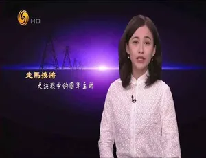 720P/1080i全47部53.46G！《凤凰大视野2015》纪录片百度网盘资源