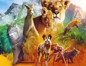 Netflix 出品《动物本色》全 4 集 1080P 高清英音中英双字视频合集 百度云下载-小文资源网