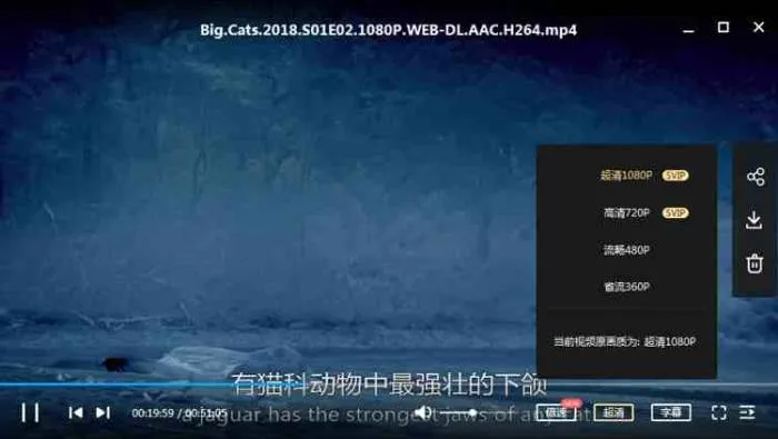 BBC纪录片《大猫/Big Cats》三部合集高清英语中字[MP4/3.28GB]百度云网盘下载