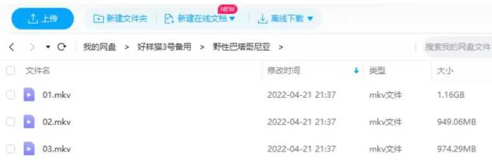 BBC纪录片《野性巴塔哥尼亚》全三集英语中字[MKV/3.04GB]百度云网盘下载