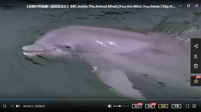 BBC纪录片《动物心智揭秘》三部合集高清英语中字[MKV/4.34GB]百度云网盘下载