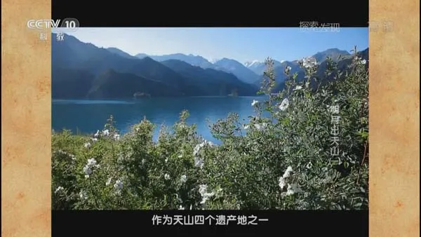 [2015][CCTV10][探索发现20150301_明月出天山][3.75G][百度盘]