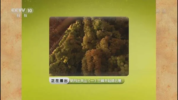 [2015][CCTV10][探索发现20150301_明月出天山][3.75G][百度盘]