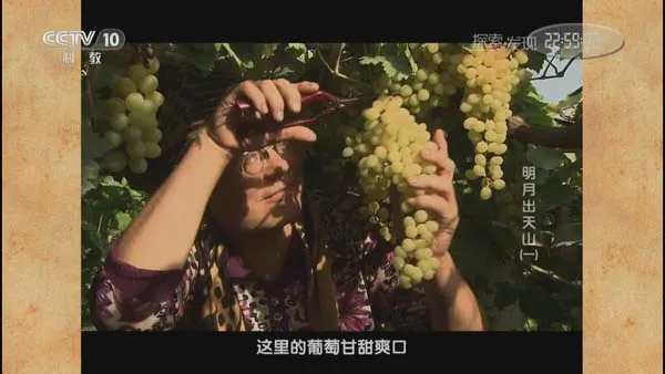 [2015][CCTV10][探索发现20150301_明月出天山][3.75G][百度盘]