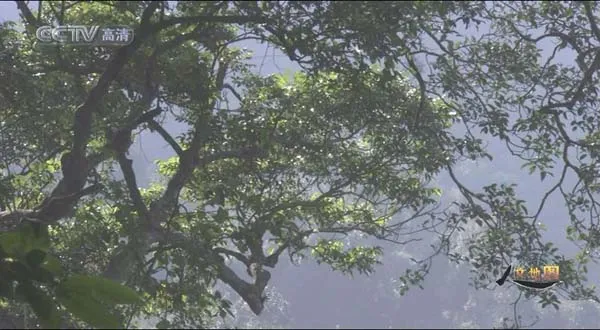 [2017][CCTV纪录片][人文地图：印象海南][全6集][1.27G][百度盘]