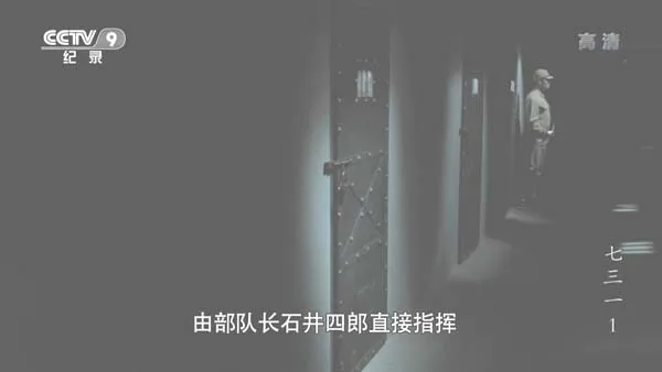 [2014][中国大陆][七三一][8.3G][百度盘]