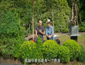 1080P 四集英语中字《切尔西花卉展：园艺挑战大赛》纪录片百度网盘资源-小文资源网
