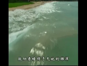 720P 20集国语配音中文字幕《唐之韵》纪录片百度网盘资源-小文资源网