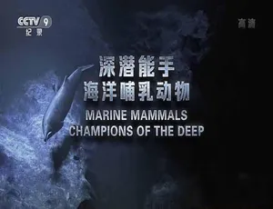《必看！海洋哺乳动物纪录片<深潜能手> 全1集 蓝光百度网盘资源》-小文资源网
