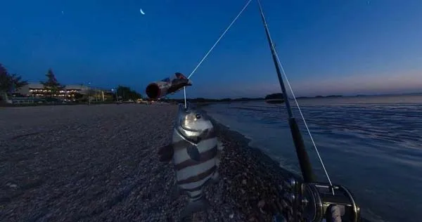 VR游戏《真实钓鱼VR Real VR Fishing [1.508.94]》[英文][653.19MB][百度网盘]