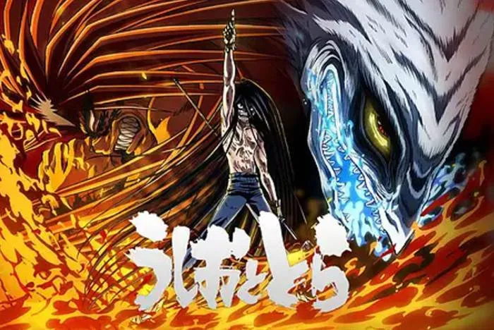 [动漫]《潮与虎》[1-2季(49集)高清720P/日语中字/视频合集]【百度云网盘下载】