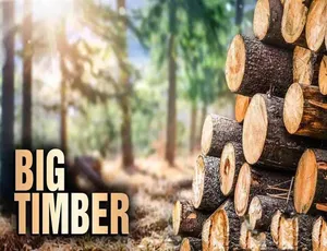 1080P 收藏版！《终极伐木达人 Big Timber 2020》第 1 季全 10 集 英语多国中字 21.6G 百度网盘-小文资源网
