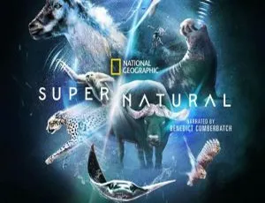 Disney+出品《超/自然》全6集4K超清原声中字视频合集 百度云网盘下载-小文资源网