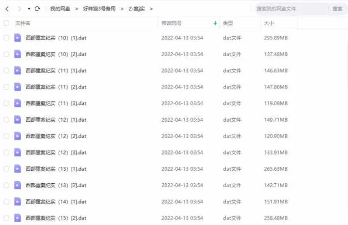 纪录片《中国西部刑侦大案纪实姊妹篇》全46集视频合集[DAT/7.16GB]百度云网盘下载