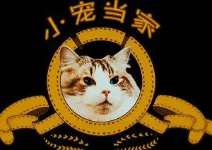 CCTV纪录片《小宠当家》五部合集高清中字[TS/8.11GB]百度云网盘下载