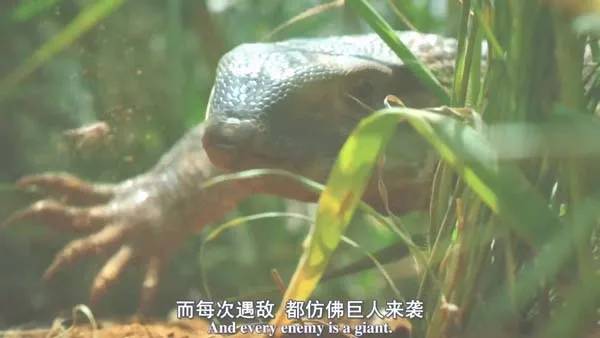 [2014][英国][BBC：隐秘王国][BD中英双字][1280高清][7.89G][百度盘]