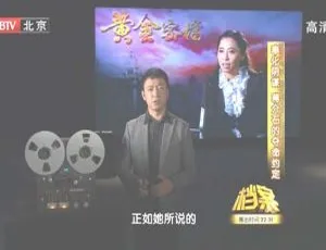揭秘2011 BTV档案：蒋介石奉化阴谋之血色黄金路3 720p高清 百度盘资源-小文资源网