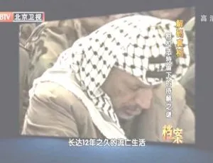 2012 BTV 档案：解码阿拉法特留下的待解之谜 720p 高清百度盘资源-小文资源网