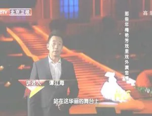 《揭秘！2012 BTV 档案：梅艳芳戏里戏外的悲情人生 720p 高清资源》-小文资源网