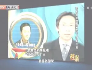 2012年BTV档案：张国荣那些年无法飞翔的生活 720p高清百度盘资源-小文资源网