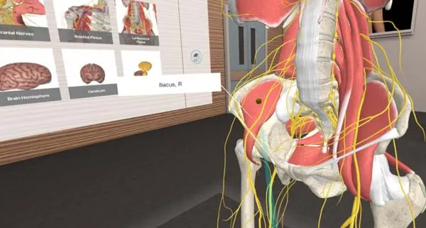 VR游戏《人体解剖学 3D Organon VR Anatomy [2021.0.9]》[英文/中文][1.25GB][百度网盘]
