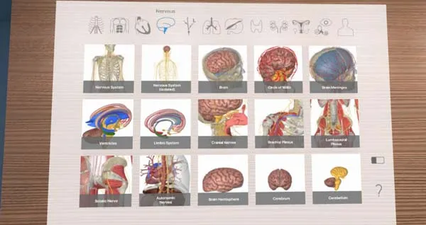 VR游戏《人体解剖学 3D Organon VR Anatomy [2021.0.9]》[英文/中文][1.25GB][百度网盘]