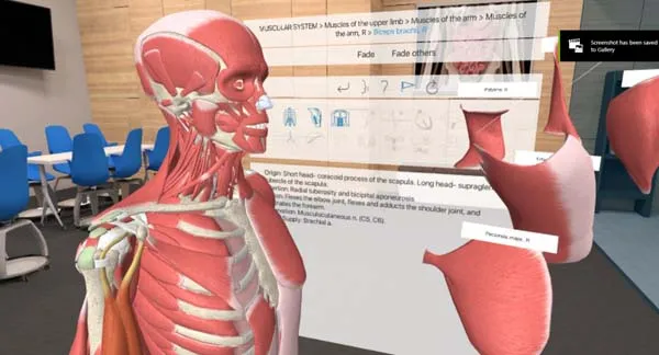 VR游戏《人体解剖学 3D Organon VR Anatomy [2021.0.9]》[英文/中文][1.25GB][百度网盘]