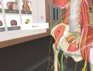 《必玩！VR游戏〈人体解剖学 3D Organon VR Anatomy [2021.0.9]〉，中英双语 1.25GB 百度网盘速存》