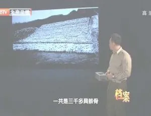 《2012 BTV 档案：血战三湘之浴血衡阳抗日寇 720p 高清百度盘资源》