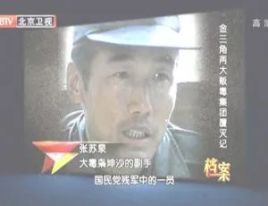 2012 揭秘：BTV 档案之金三角两大贩毒集团覆灭记 720p 高清百度盘资源-小文资源网