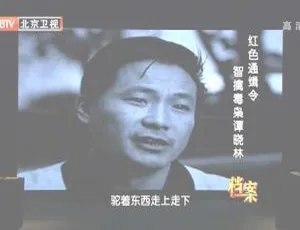 2012 BTV 档案：缉毒重案之智擒毒枭谭晓林 720p 高清资源-小文资源网