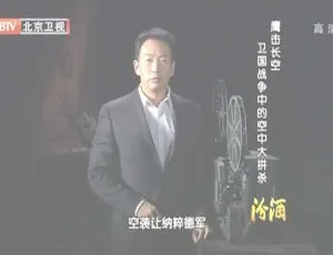 2012年BTV档案：鹰击长空！卫国战争空中大拼杀720p高清百度盘资源-小文资源网