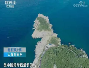 108P 纪录片《远方的家 我家那片海》第 1 部 33 集 24.60G 百度网盘资源-小文资源网