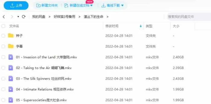 BBC纪录片《灌丛下的生命》全5集高清视频英语外挂中字[MKV/11.19GB]百度云网盘下载