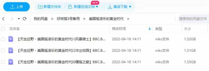 BBC纪录片《天生狂野:美国摇滚乐的黄金时代》高清英语中字[MKV/4.58GB]百度云网盘下载