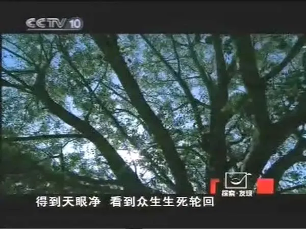 [2009][CCTV纪录片][法门寺][920M][百度盘]