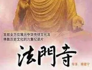 2009 年 CCTV 纪录片《法门寺》920M 资源 百度盘速取-小文资源网