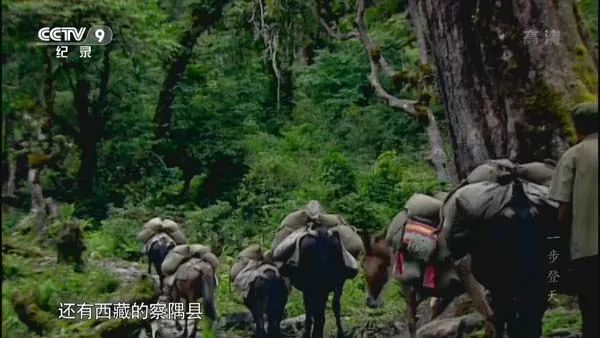 [2015][CCTV9][特别呈现20150409 一步登天-走向现代文明的独龙族][6.18G][百度盘]
