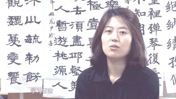 [2013][中国大陆][书法五千年][14.5G][百度盘]