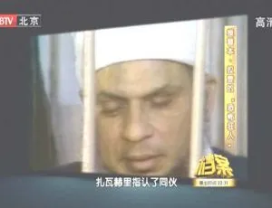 2011 BTV档案：揭秘接替本·拉登的“恐怖狂人” 720p高清百度盘资源